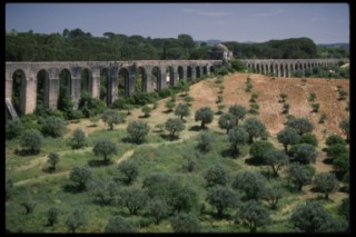 Orchards and Olive Groves near Aqueduct in Portugal