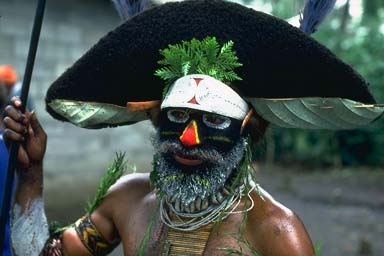 Highlands wig man, New Guinea