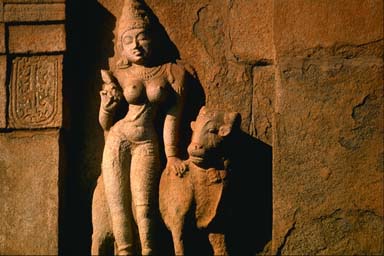 Tamil Nadu, detail of the goddess
Parvati