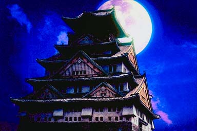 Osaka Castle, Japan with Moon