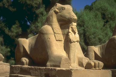 EGYPTIAN GODS
