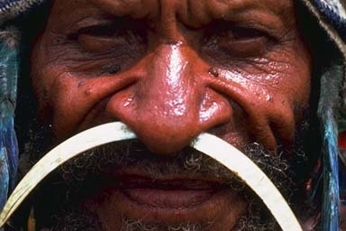 NEW GUINEA NATIVE WITH STICK IN HIS NOSE